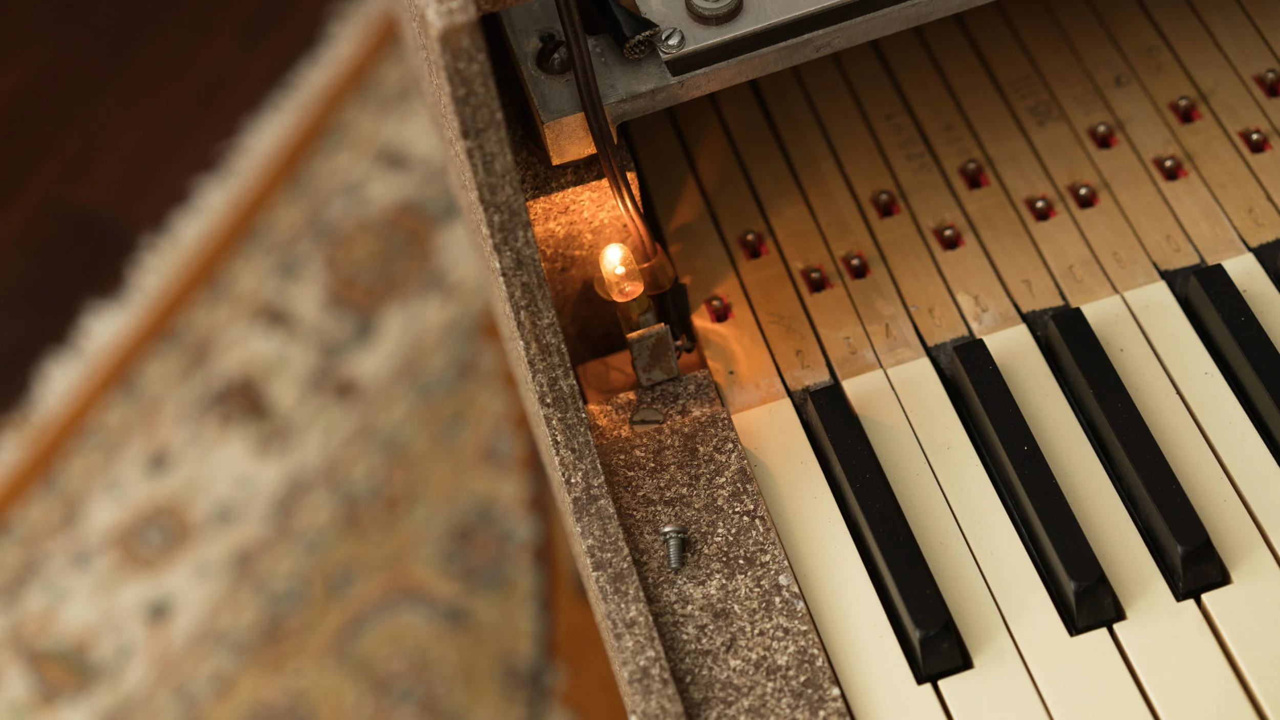 ポーラ マッカードル　Piano 163/350 ポーラ マッカードル Piano 163/350 ポーラ マッカードル Piano